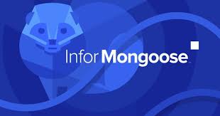 Infor Mongoose Implementations